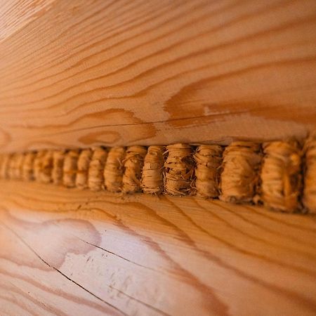 Apartamenty Dwupoziomowe Stasikowe Izby Bukowina Tatrzańska Exteriör bild